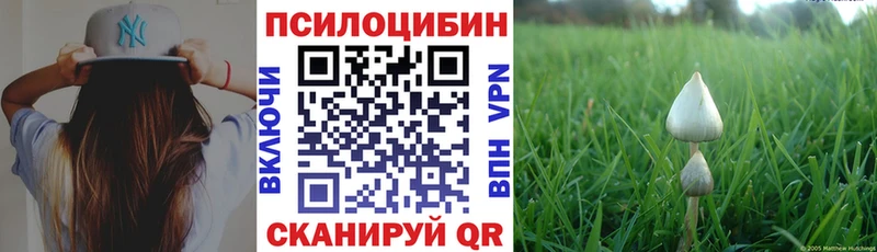 даркнет сайт  Ковылкино  Галлюциногенные грибы мухоморы 